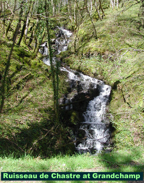 Picture of the Chastre stream near Grandchamp